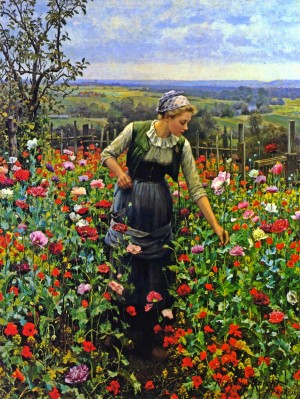 A July Morning